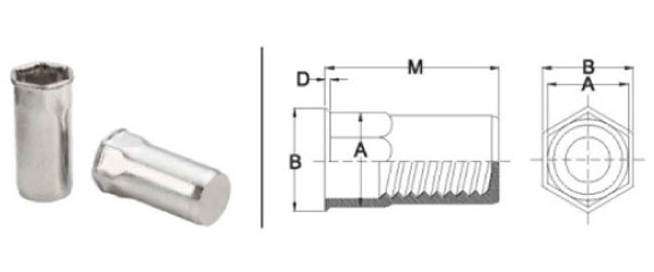 semi hex reduced head rivet nuts India